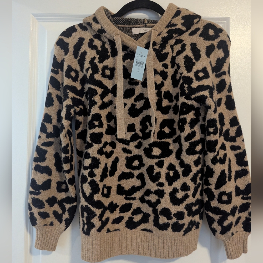 Loft Women's Sweater